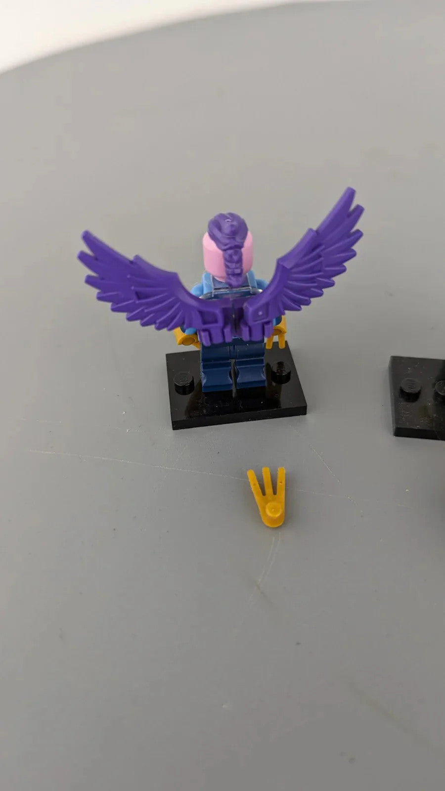 Image #3