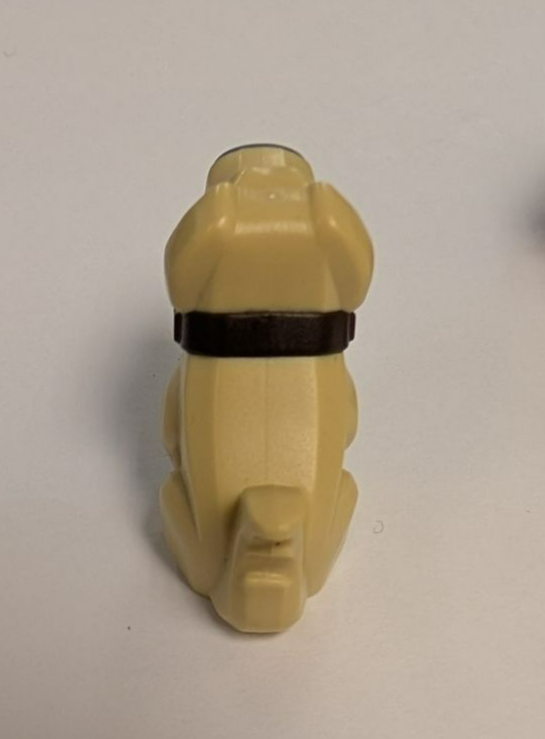 Image #5