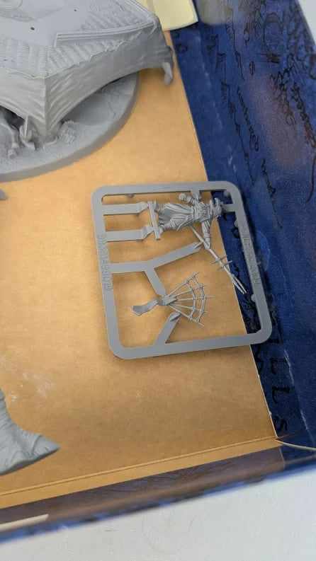 Image #12