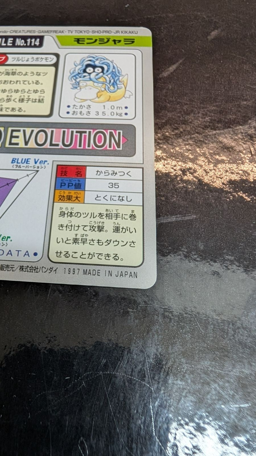 Image #10